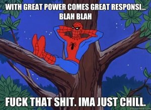 spider-man-meme-ima-chill_zpsf11cd516