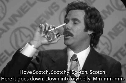 scotch-anchorman