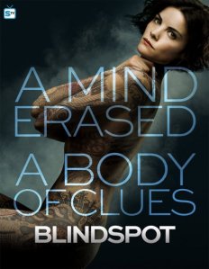 Blindspot-Posters-blindspot-tv-series-38747076-461-595